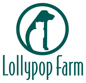 Lollypop Professionals Pub Crawl 2022
