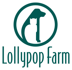 Lollypop Farm 